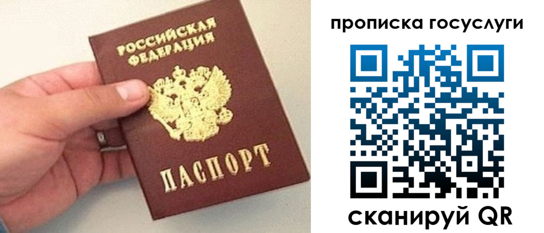 где прописаться в Жуковке